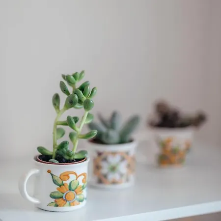 'la Primavera ' * روكوبرُن كاب مارتي